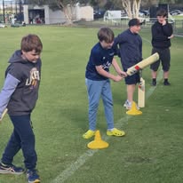Cricket